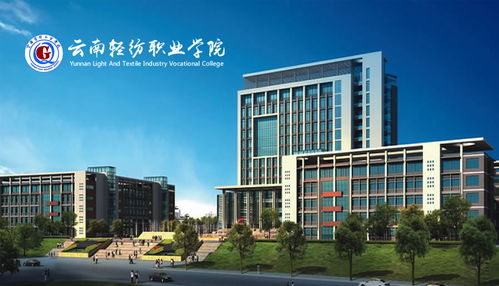 昆明奧遠科技 一站式數字化解決方案，賦能企業網絡建設與新媒體運營